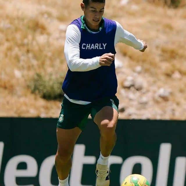 La Pasión por La Fiera: Un Análisis del Club León