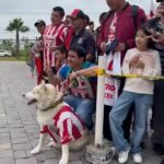 Cañoneros: Triunfo y Comunidad en la Liga MX