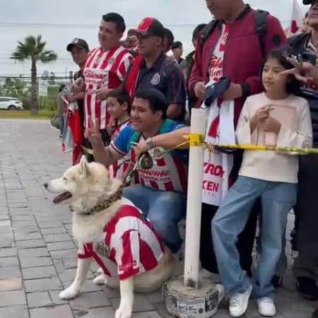 Cañoneros: Triunfo y Comunidad en la Liga MX